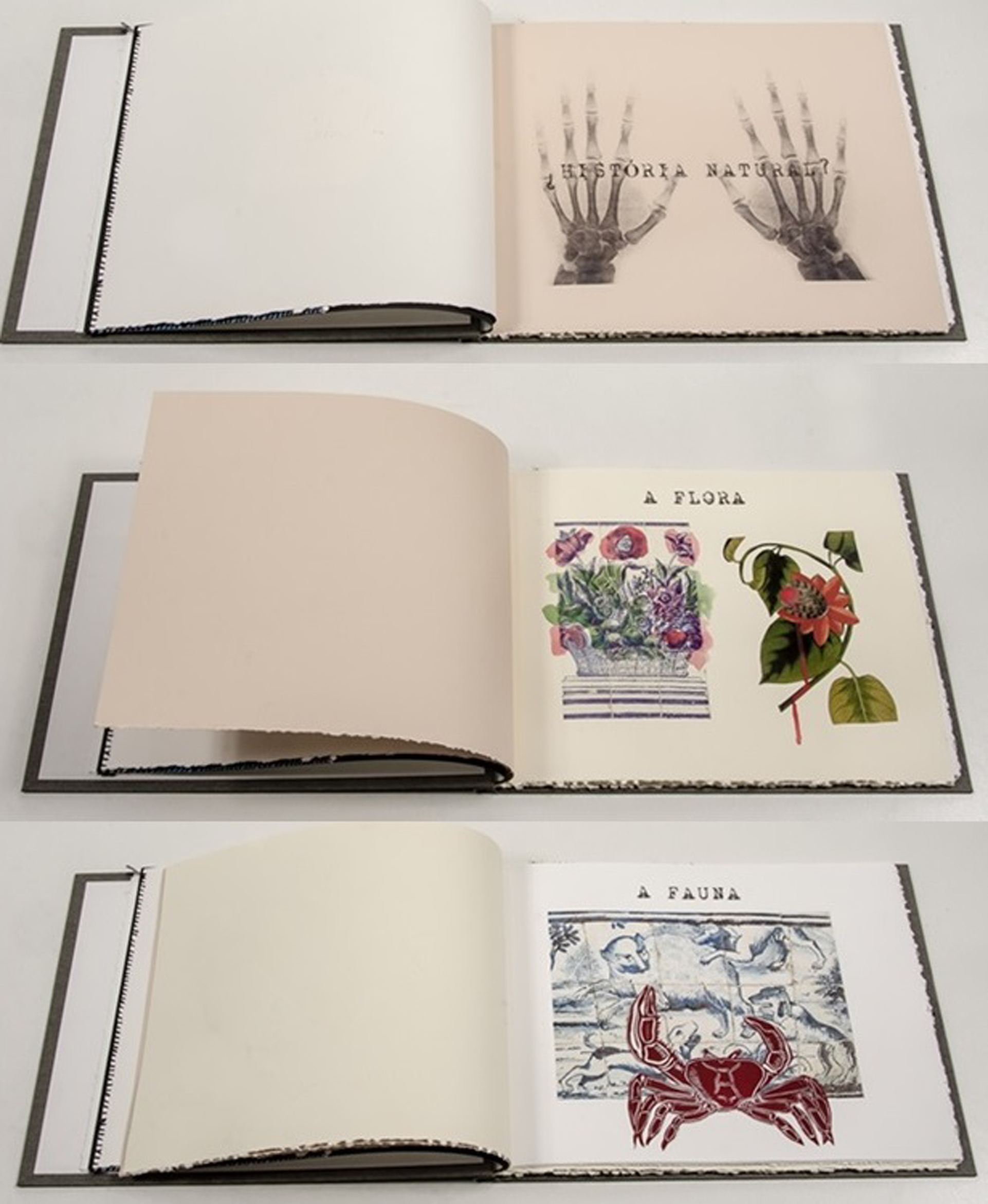 ROSANA PAULINO  História Natural, livro de artista, 2016.